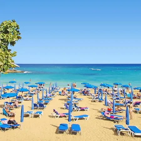 Pedap30 * Protaras